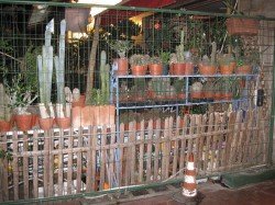 it_2009_09_225