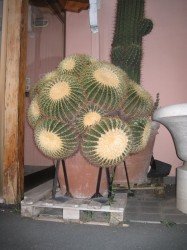it_2009_09_236