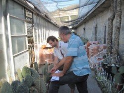 it_2009_09_244