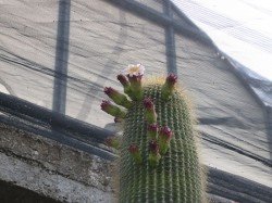 it_2009_09_245