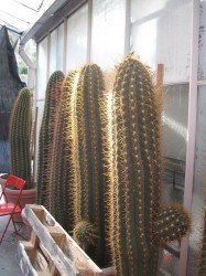 it_2009_09_248