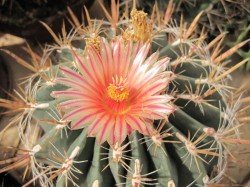 it_2009_09_259