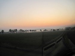 it_2009_09_263
