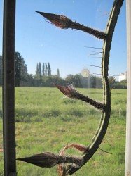 IMG_6028