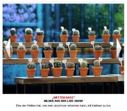wetten_dass_bild_de_04