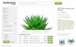 aloe_cosmo_shutterstock