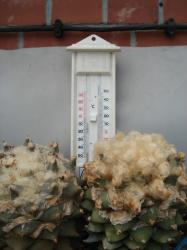 Wärmster Tag 2008