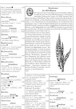 Sansevieria Angebot im Katalog Herbst 2007