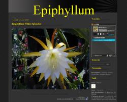 Epiphyllum overblog