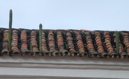 Dachkakteen auf dem Gebäude des regionalen Goldmuseums von Santa Marta