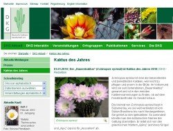 kaktus_des_jahres_2010_echinopsis_eyrisii_dkg