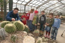 Kaktus-Kindergarten bei Kakteen-Haage