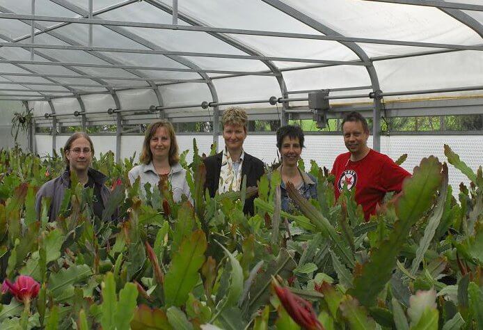 Treffen im Epiphyten-Haus