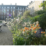 Inner Temple Garden
