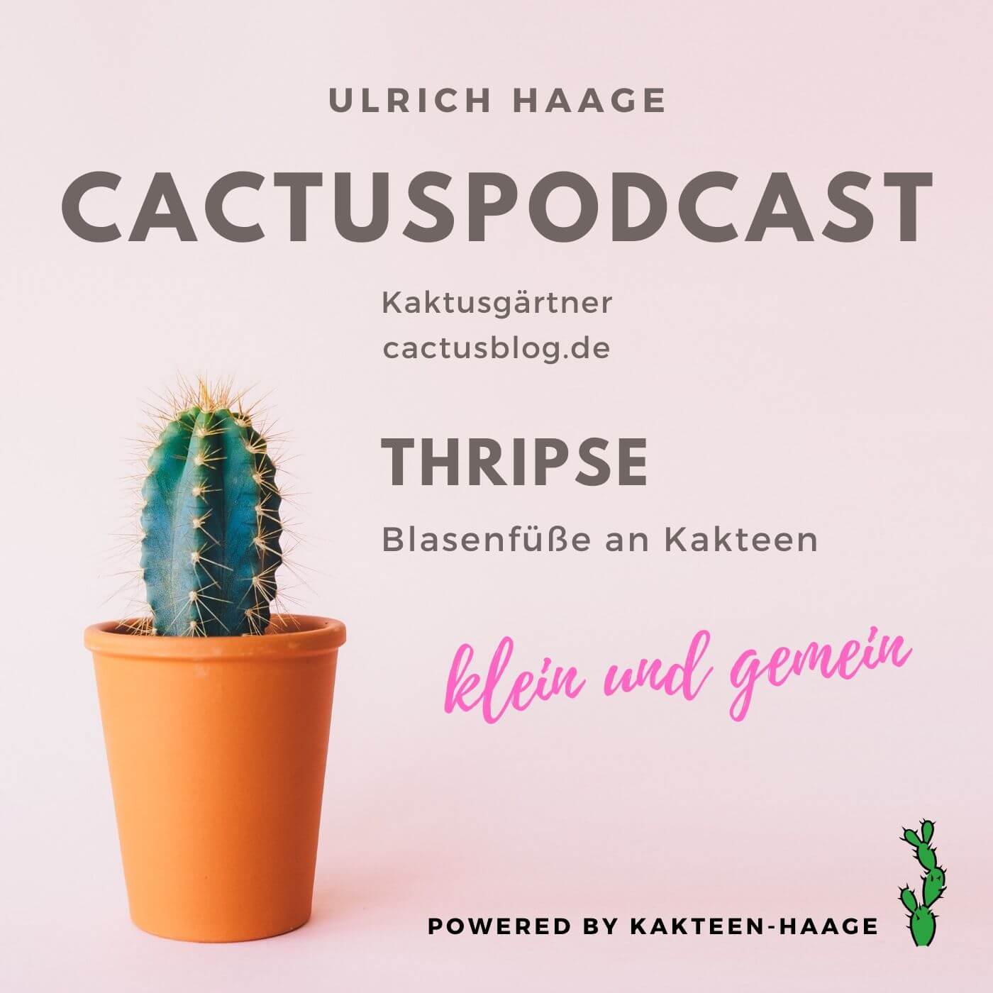 CactusPodcast