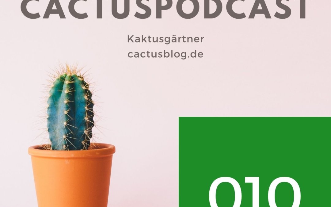 CactusPodcast 010 – CactusBasics – Kakteenpflege: Die richtige Kakteenerde