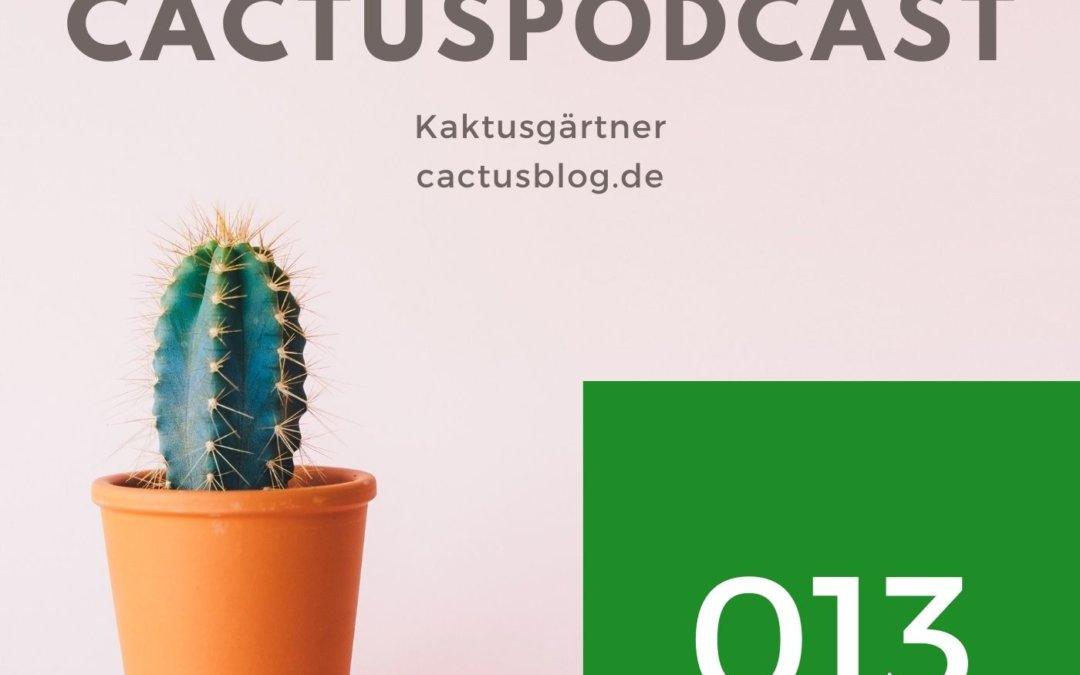 CactusPodcast 013 – Kakteenerde Interview Lothar Bodingbauer mit Ulrich Haage – Teil 2