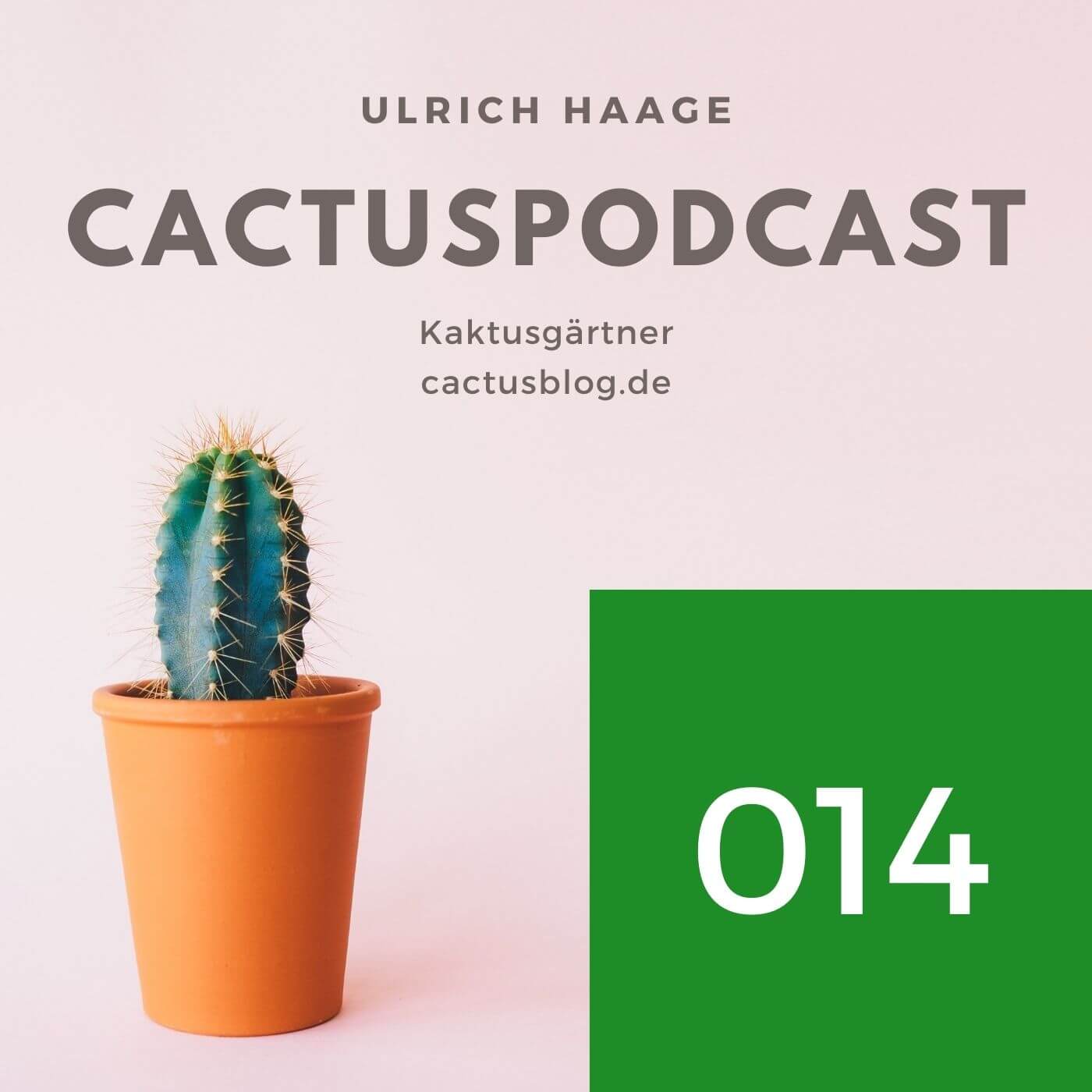 CactusPodcast - Kakteenerde - Die einfachste Kakteenerde der Welt