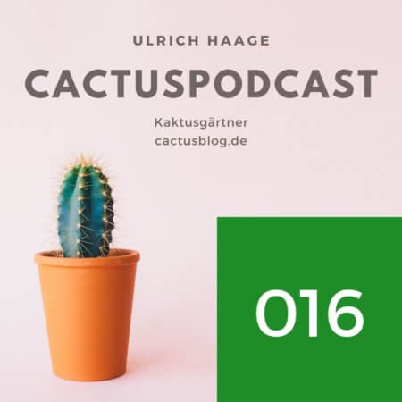 CactusPodcast 016 Schädlinge: Trauermücken an Kakteen und anderen Sukkulenten