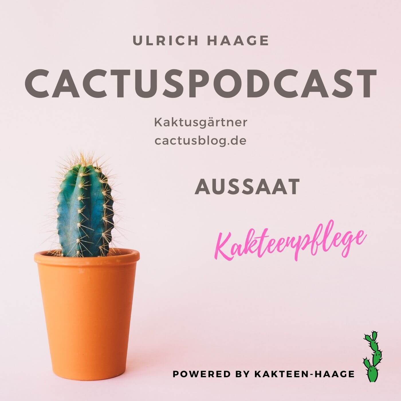 CactusPodcast Aussaat