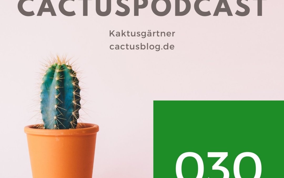 CactusPodcast – 030 Kakteenpflege – Kaktus geplatzt – was tun?