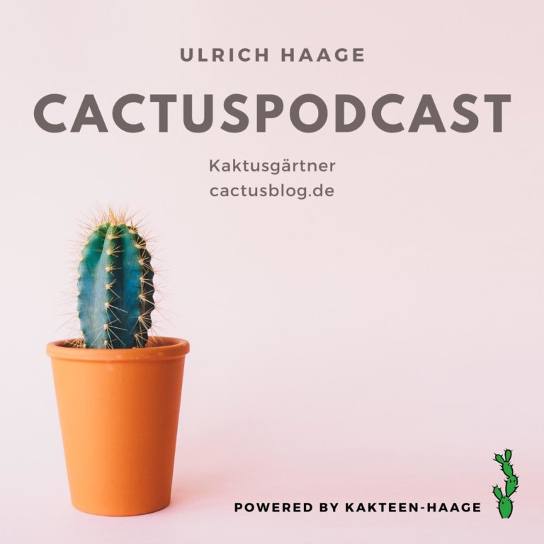 CactusPodcast