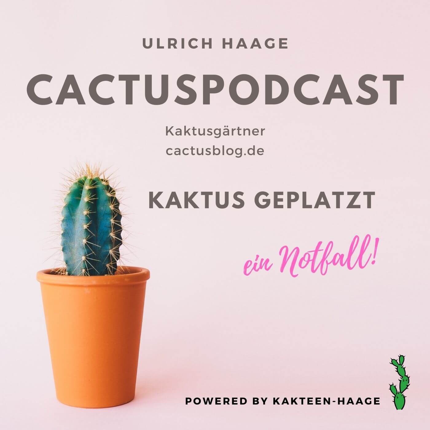 CactusPodcast - 030 Kakteenpflege - Kaktus geplatzt - was tun?
