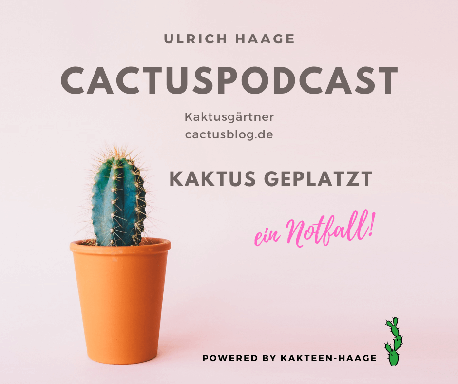 CactusPodcast - 038 - Jubilum - 200 Jahre Kakteen-Haage