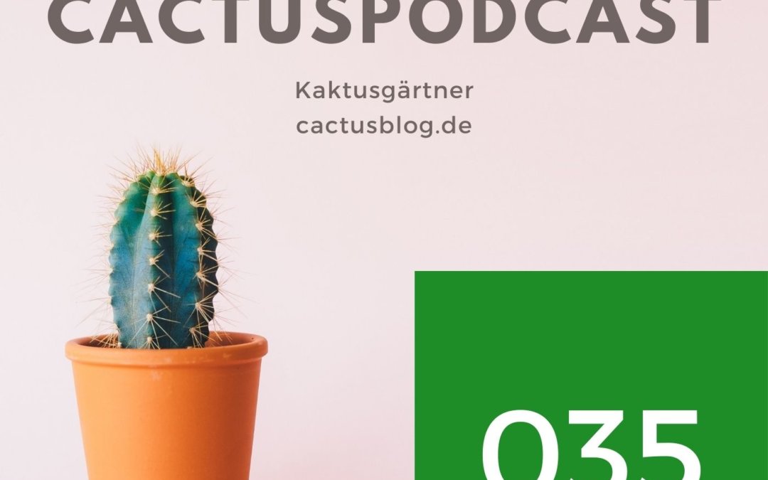 CactusPodcast – 035 Interview – Im Kaktusbus in die Ukraine