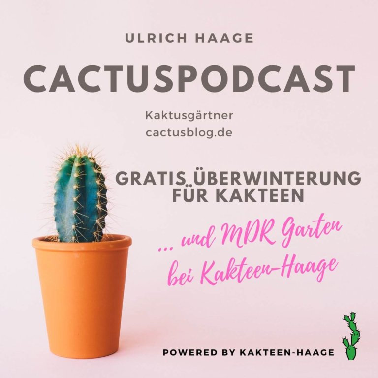 CactusPodcast – 038 Kakteengeschichte – Jubiläum – Haage am Sächsischen Hof