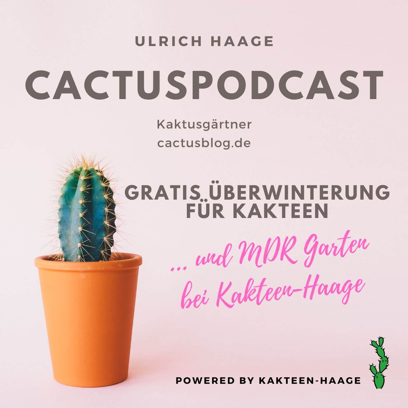 CactusPodcast - 037 Pflanzenpflege - Gratis Überwinterung für Kakteen und MDR Garten