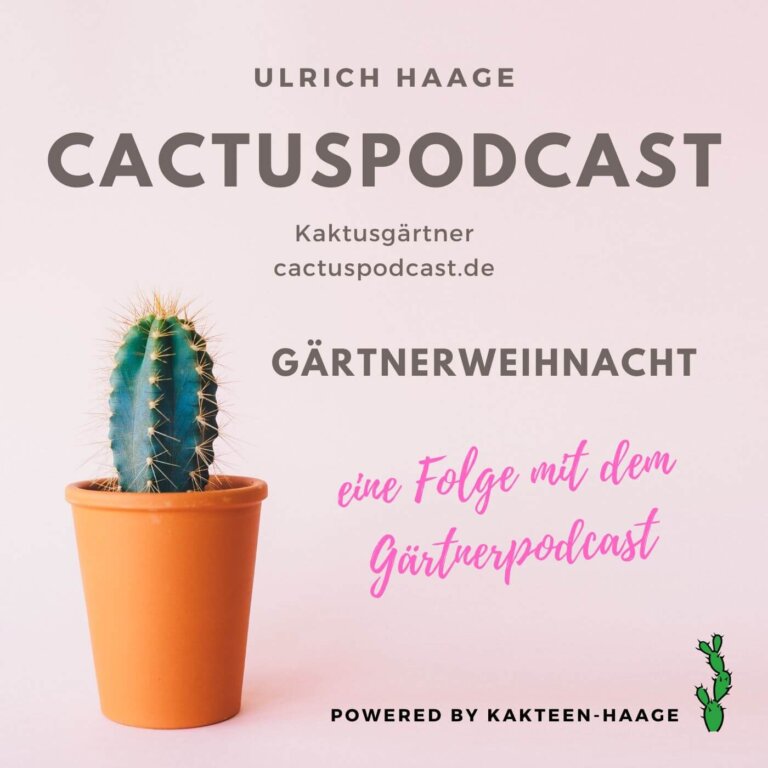 CactusPodcast 042 CactusEvents – Gärtnerweihnacht – der Weihnachtsmarkt auf Gärtnerart