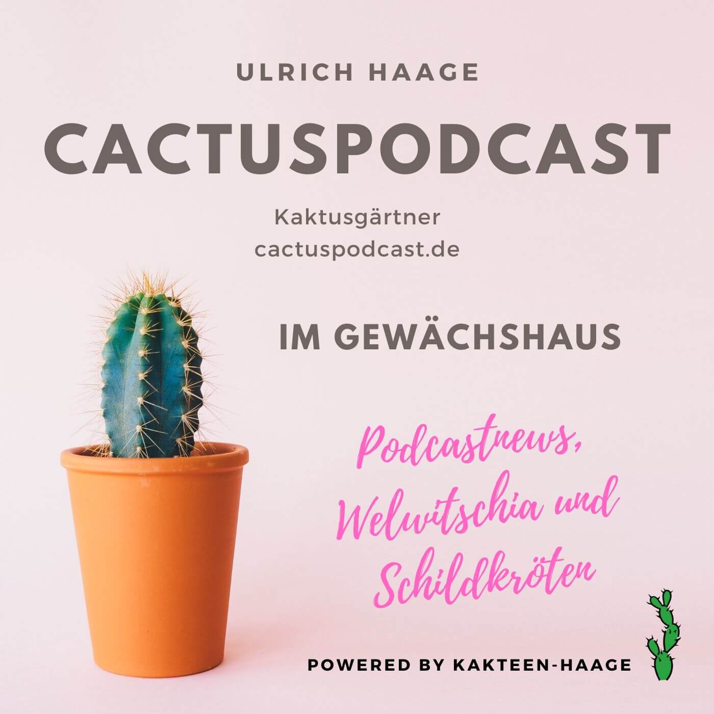Ein neuer Kakteen-Podcasts, Gewächshaustechnik, Welwitschia und Schildkröten