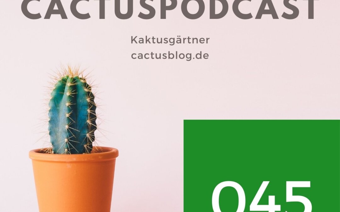 CactusPodcast 045 Johannes Uhlig – Generationen-Treffen am Rande des Jakobsweges