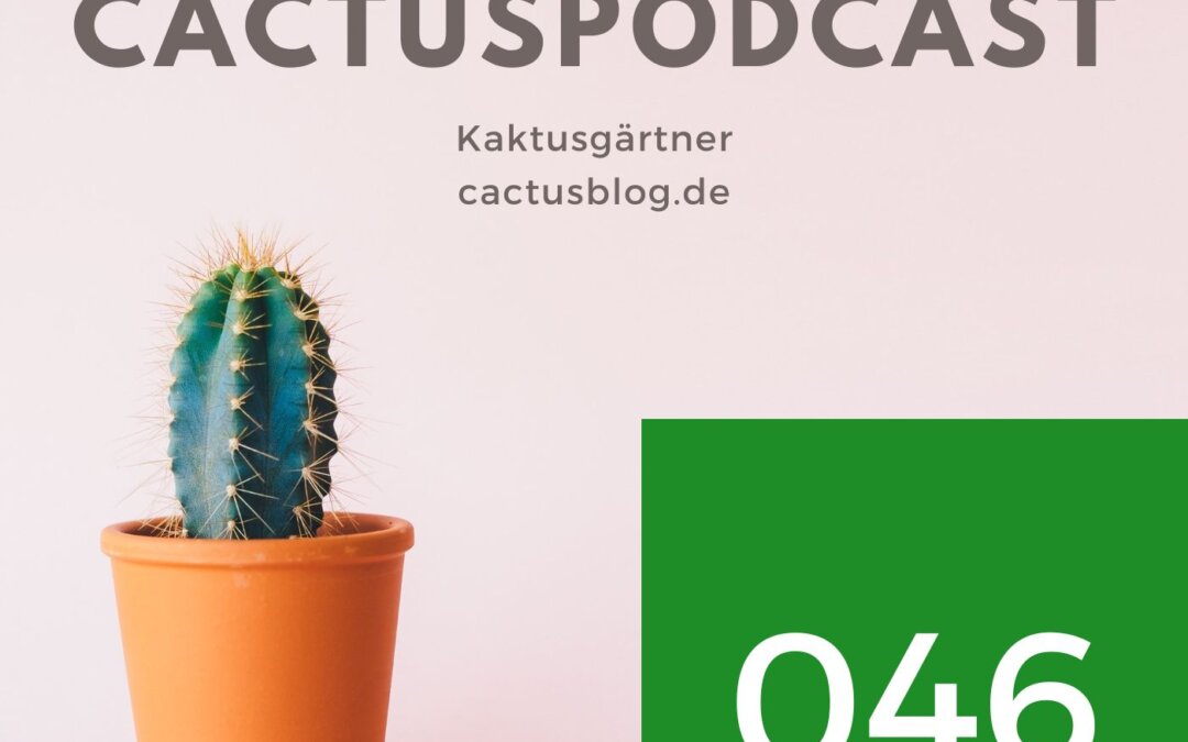 CactusPodcast 046 100 Jahre Kakteenverein Erfurt